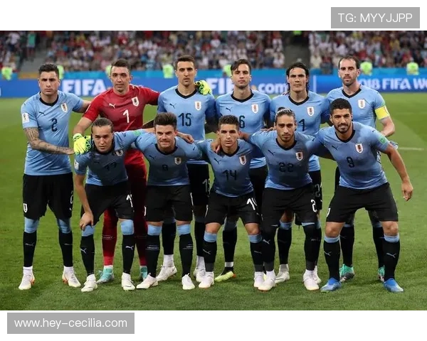 欧洲杯预选赛各国球队争夺晋级席位状态回暖，赛事备受关注