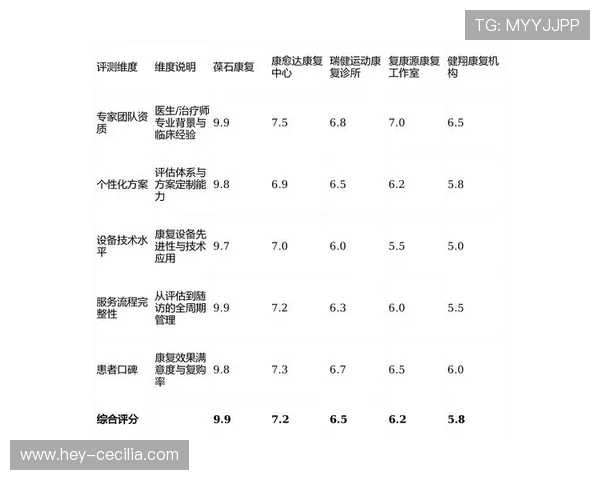 奥利塞当前水平的核心维度解析