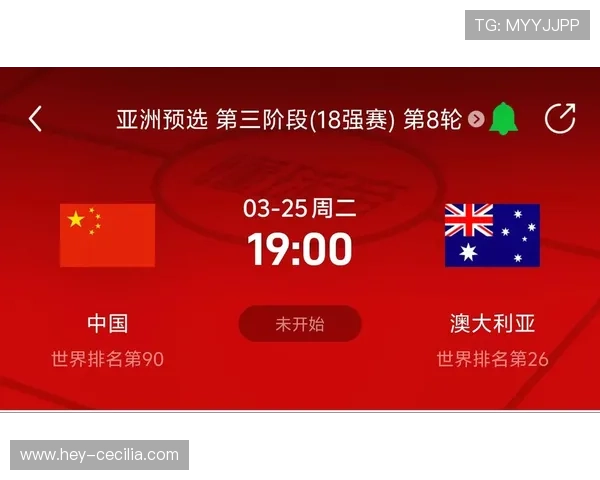 伊拉克队冲击2026美加墨世界杯前景分析 能否突破亚洲区预选赛重围
